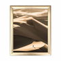 Wallity Cuadro Decorativo ACT-050 Multicolor